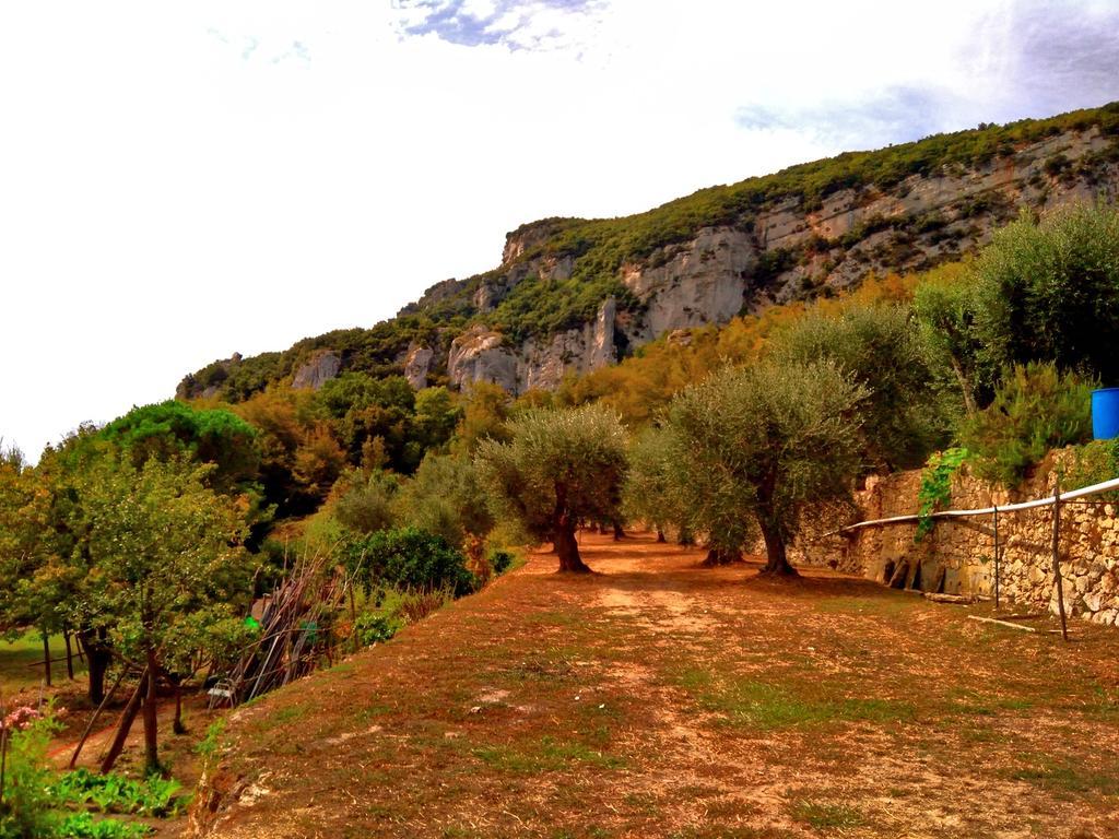 Agriturismo Ca' Magli Villa Orco Feglino Eksteriør billede